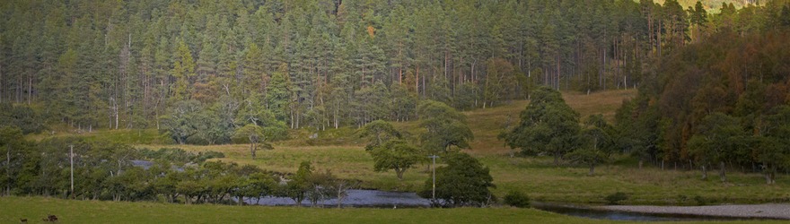 The Bushcraft Challenge  – Survive from the Land for One Year