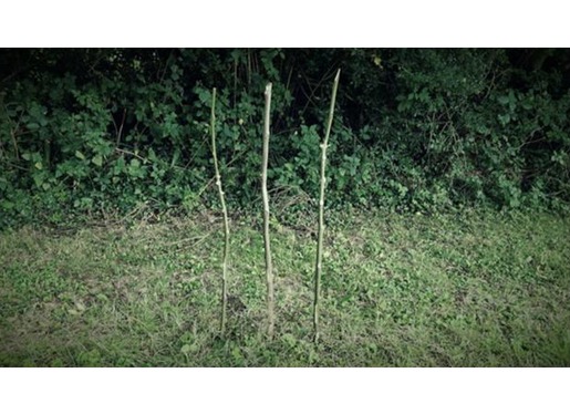 Three Sticks Three Sticks