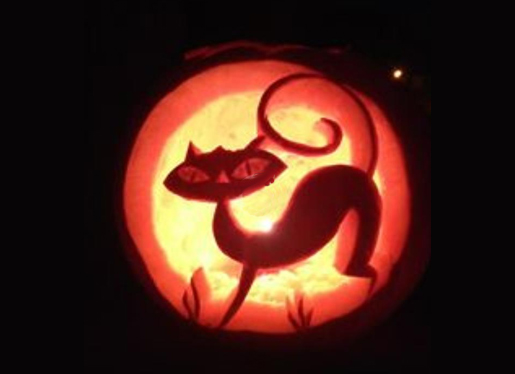 Pumpkin by Stephanie Pumpkin by Stephanie