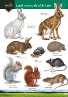 FSC Field Guide to Land Mammals