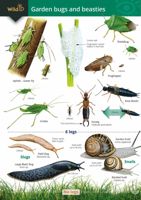 FSC Garden Bugs and Beasties
