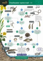 FSC Field Guide to Freshwater Life