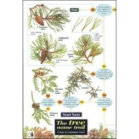 FSC Field Guide to Trees of Britain