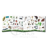 FSC Garden Bugs and Beasties