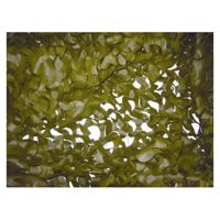 Camouflage Nets