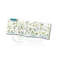 FSC Ancient Woodland Indicator Plants | ID Chart