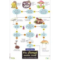 FSC Field Guide to fungi / mushrooms