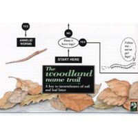 FSC Field Guide to Woodland Mini-beasts