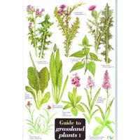 FSC Field Guide to Grassland Plants