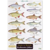 FSC Field Guide to British Freshwater Fish