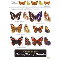 FSC Field Guide to Butterflies of Britain