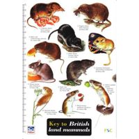 FSC Field Guide to Land Mammals