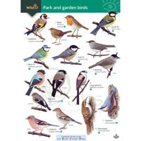 FSC Field Guide to the 50 most common Garden Birds