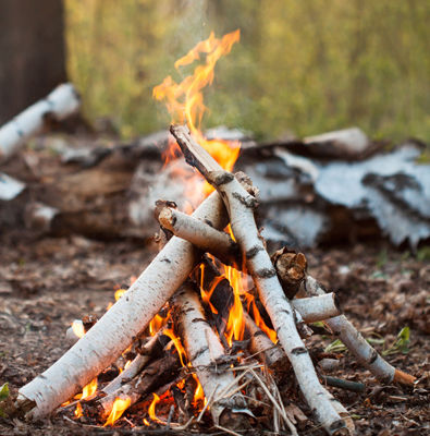 Fire Lighting Kits