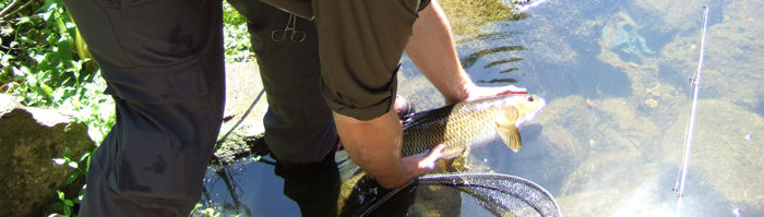 Fishing  – The Bare Essentials