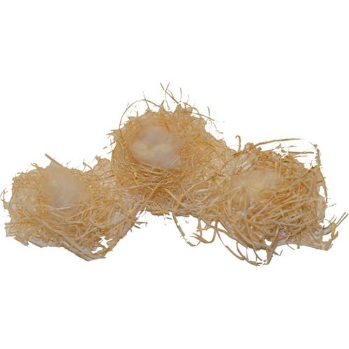 Tinder Nests