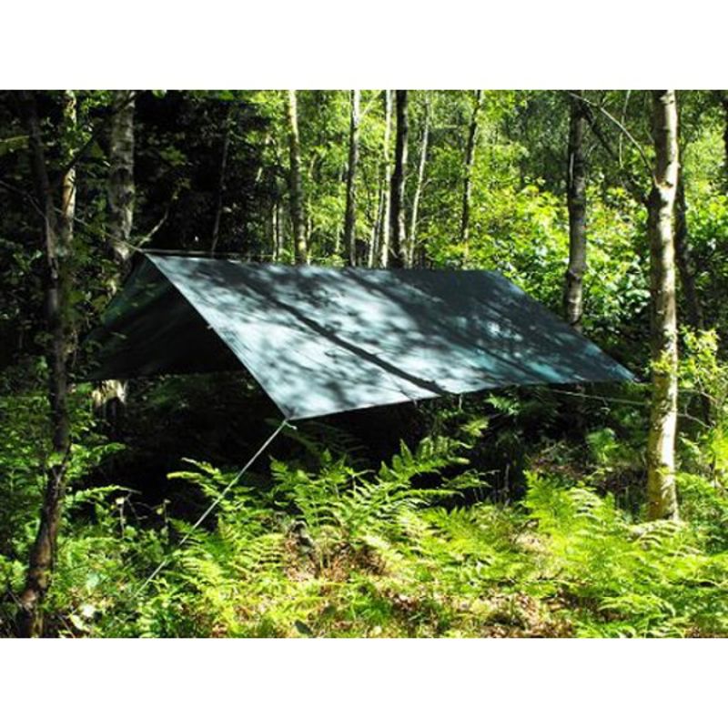 DD Tarp