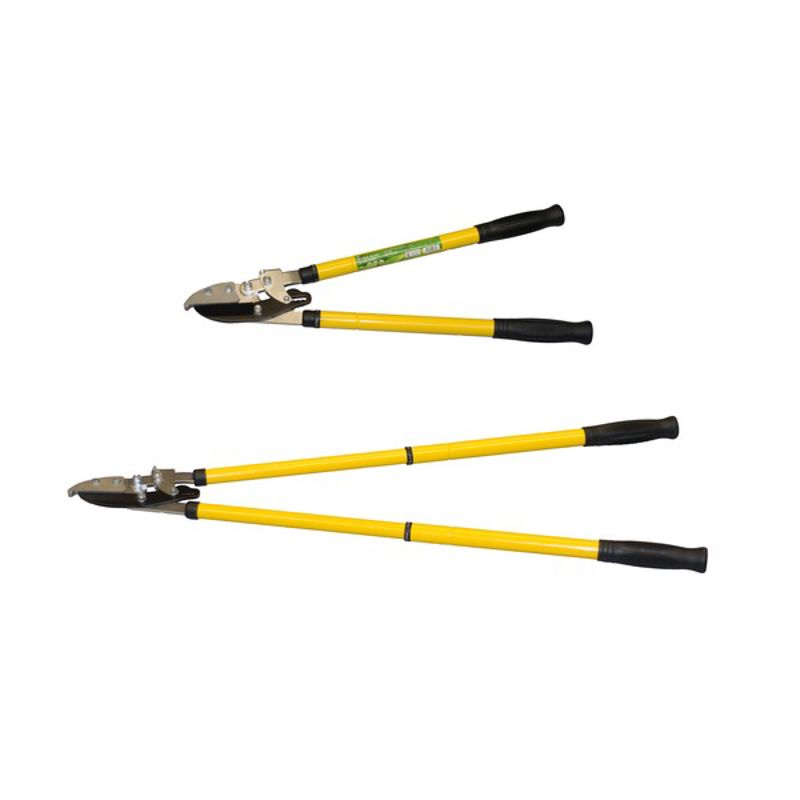 Telescopic Ratchet Lopping Shears