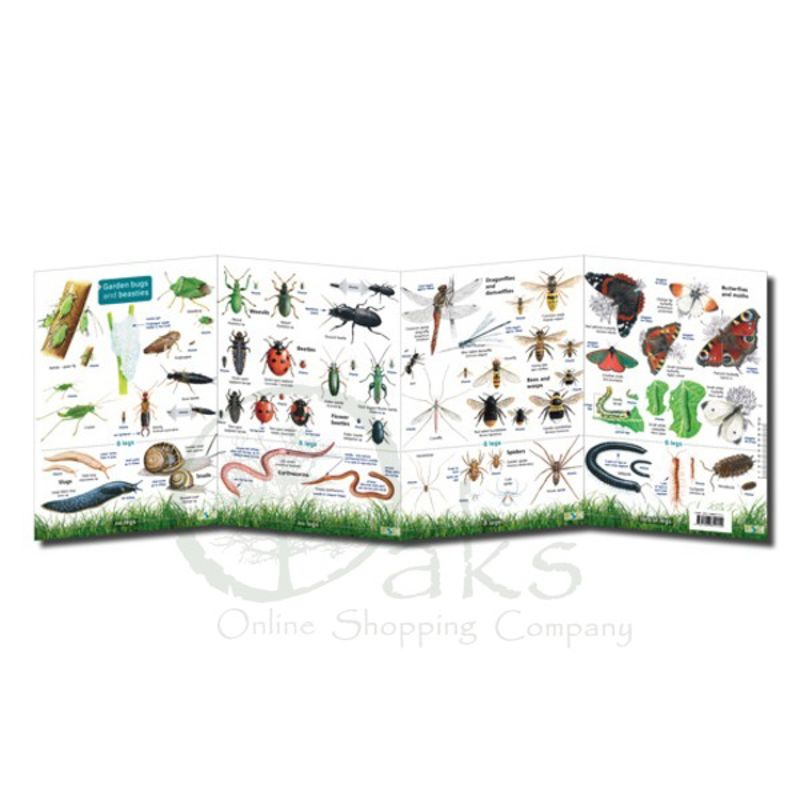 FSC Garden Bugs and Beasties