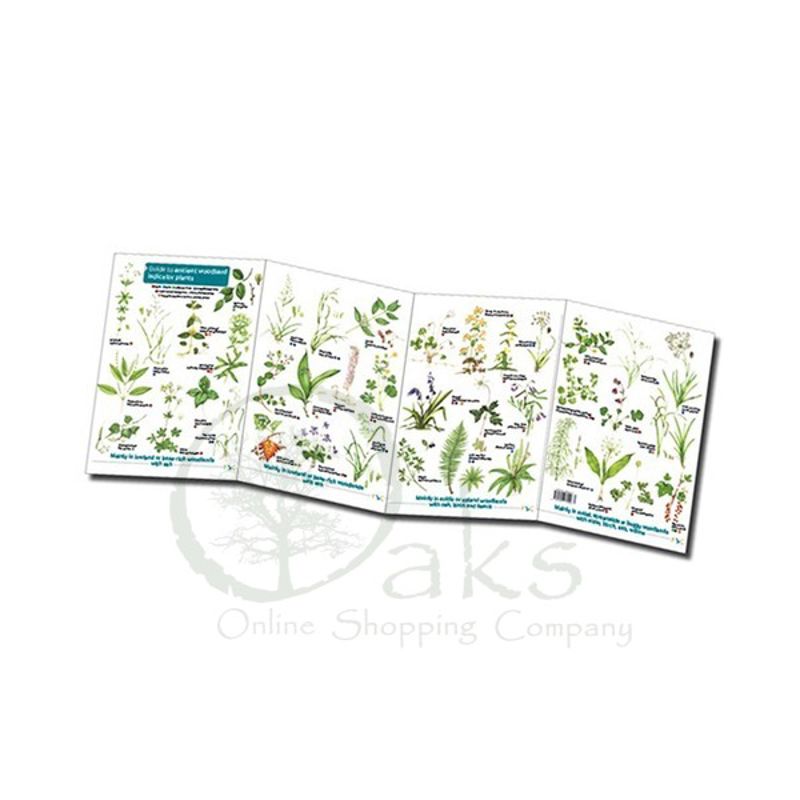 FSC Ancient Woodland Indicator Plants | ID Chart