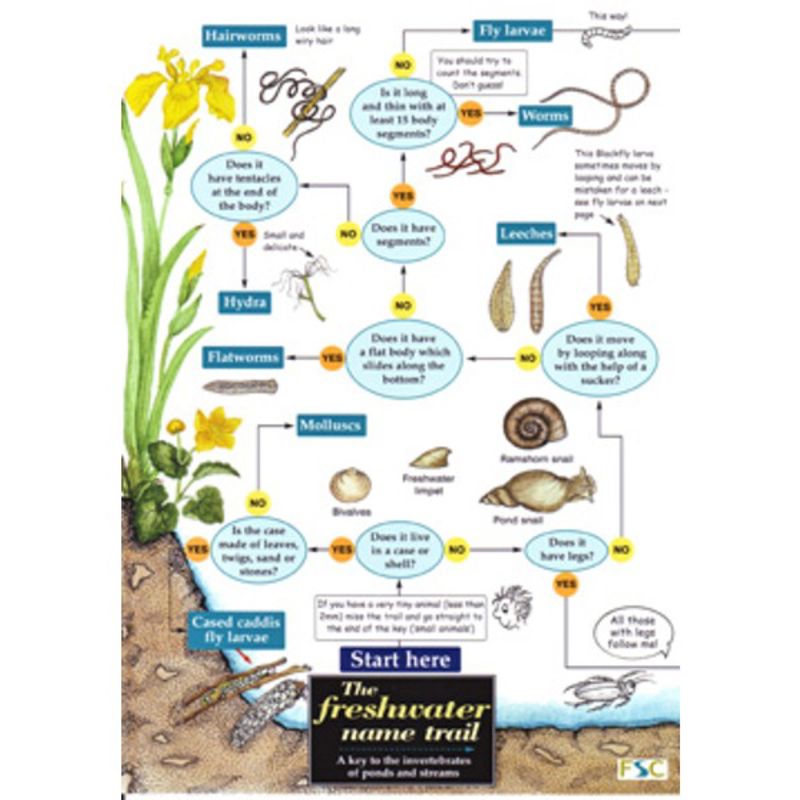 FSC Field Guide to Freshwater Life