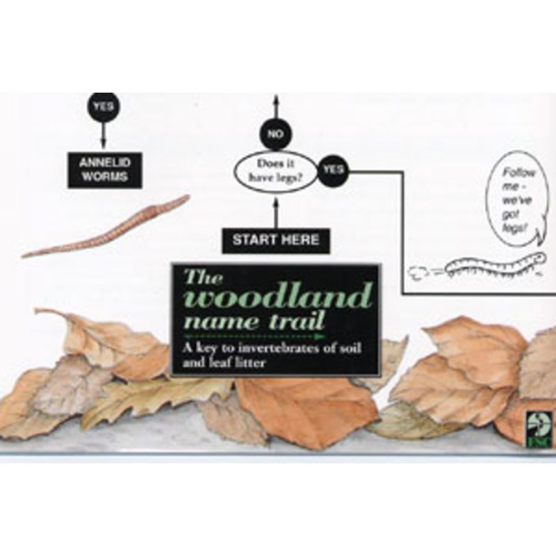 FSC Field Guide to Woodland Mini-beasts