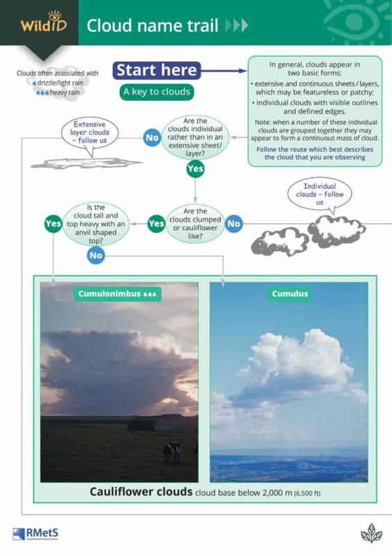 FSC Field Guide to Clouds