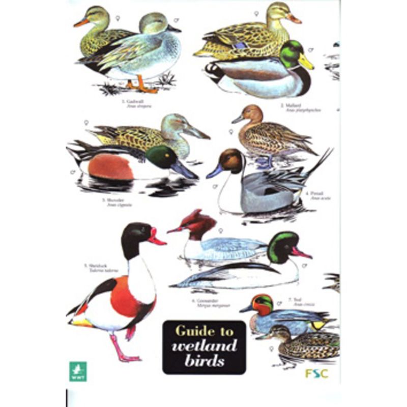 FSC Field Guide to Wetland Birds