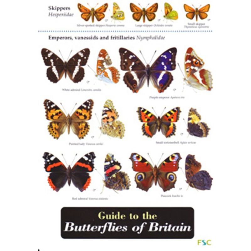 FSC Field Guide to Butterflies of Britain