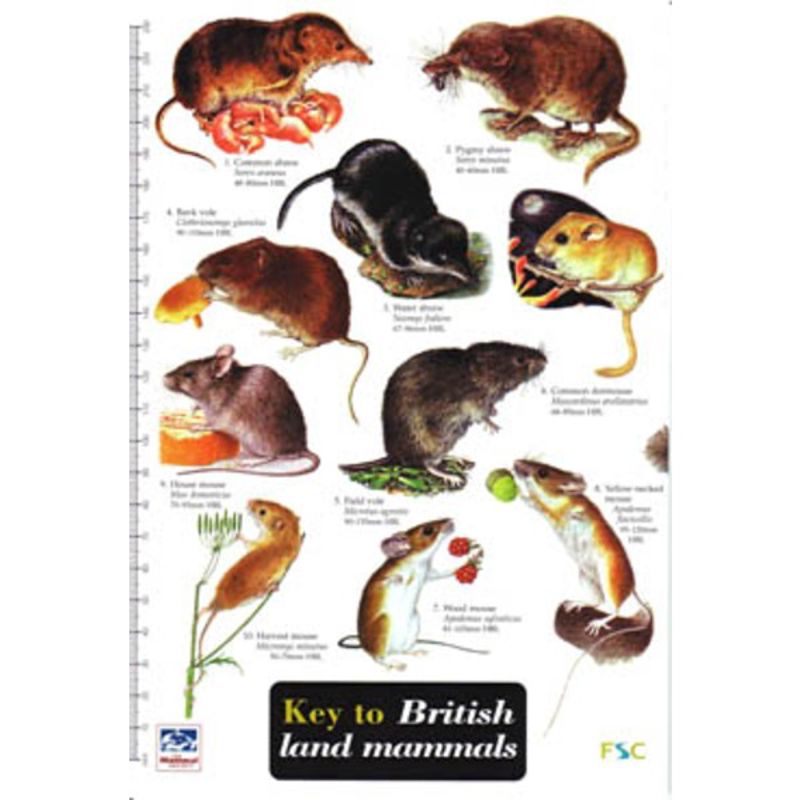 FSC Field Guide to Land Mammals